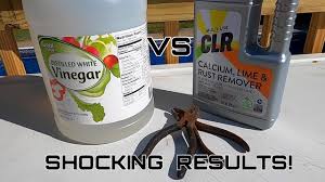 rust removal vinegar vs clr shocking