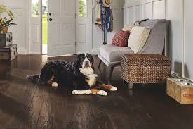 best pet friendly floors 7 surfaces