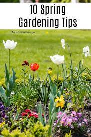 10 Spring Gardening Tips