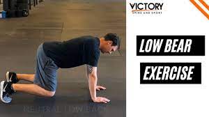 the low bear exercise you