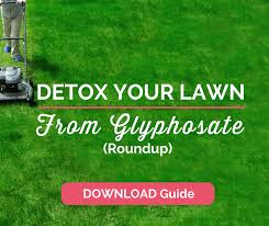 I feel a bit discouraged and i'm wondering if clients typically just take a while to that's also a strategy with a caveat: How To Detox Your Lawn From Glyphosate Roundup And Talk To Your Hoa Hormonesbalance Com