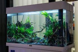 aquariums with or without cover