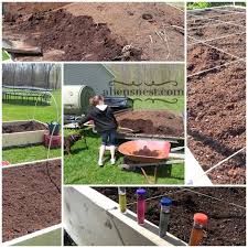 raised bed gardens with horse manure