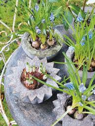 How To Make Your Own Easy Concrete Planters