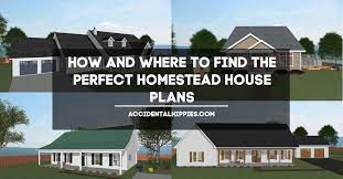 Perfect Homestead House Plans