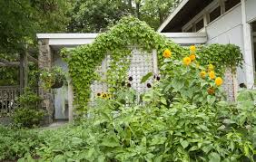 30 clever garden trellis ideas for your