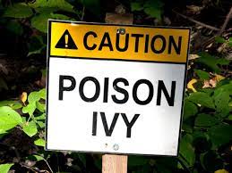 does poison ivy oil last on clothes