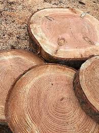 4 Rustic Damaged Log Slices 18 034