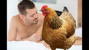 Man having sex with chicken