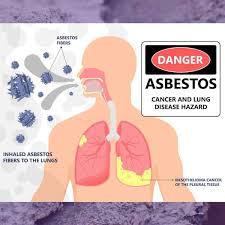 pro lab asbestos test kit as108 the