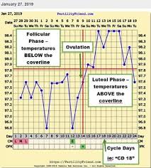 How To Track Basal Body Temperature Bbt