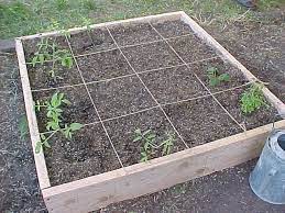 Building A Square Foot Garden I