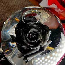 How To Care For Rose In Water Globe 4