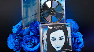 in pictures evanescence and within