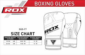Rdx F7 Ego Punch Bag With Boxing Gloves