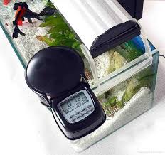 Made a fish feeder for my out door fish tank. Wholesale Automatic Fish Feeder Automatic Aquarium Tank Fish Food Feeder Digi Bt Pf01a Petlove China Manufacturer Pet Supplies