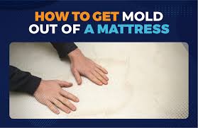 how to get mold out of a mattress