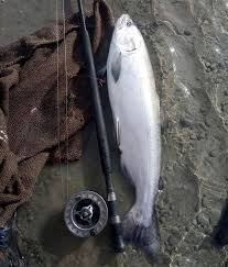 Rakaia River Salmon Fishing Tips Access 71 Photos Maps