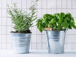 How To Bring Outdoor Herb Garden Inside