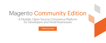 7 Must Know Points For Choosing Between Magento 2 Community
