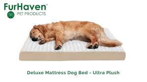 deluxe mattress dog beds ultra plush