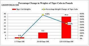 The Wild Tigers Are Roaring Again Cogent Tiger Population Chart