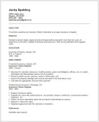 Insurance Claims Resume Example See Person With Some