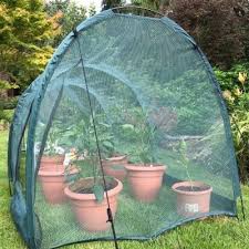garden net grow tunnel cloche plant