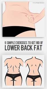 9 best lower back fat exercises works