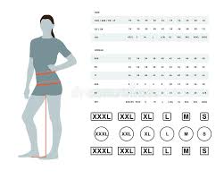 Size Chart For Women Stock Vector Illustration Of Body