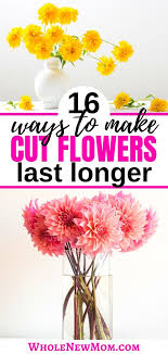 How To Make Flowers Last Longer Plus