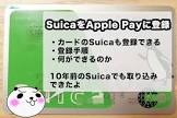 geo 入会 金,waon イオン カード チャージ,ルミネ カード apple pay 5 オフ,ニコン アプリ,