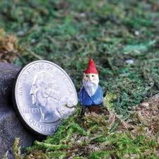 Miniature Garden Micro Mini Gnome