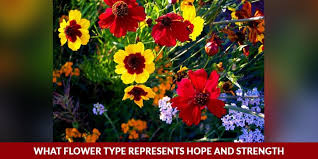 What flower means hope and strength?