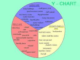 Y Chart