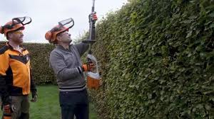 maruti stihl long reach hedge trimmer
