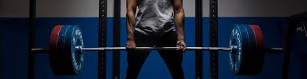 the phat workout build m strength