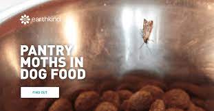 pantry moths in dog food or pet food