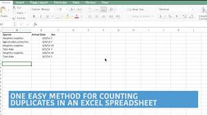 How To Count Duplicates In Microsoft Excel