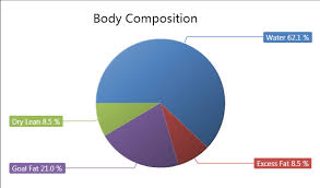 Body Comp Chart Cerulean Advanced Fitness And Wellness