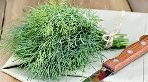 dill nutrition facts cully s kitchen