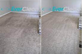 carpet cleaning gallatin tn