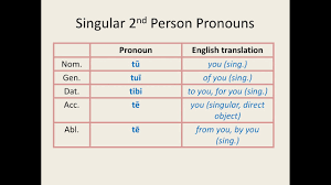 Latin For Beginners Lesson 11 Personal Pronouns And Possessive Adjectives