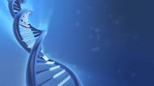 Below are 10 most popular and newest dna wallpaper high resolution for desktop computer with full hd 1080p (1920 × 1080). Dna Wallpapers High Quality Dna Wallpaper Blue 197693 Hd Wallpaper Backgrounds Download