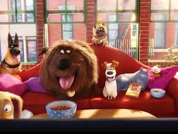 Too scattered narratively to cohere, and yet somehow still funny enough to justify its existence, the secret life of pets 2 makes for an entertaining trifle. The Secret Life Of Pets People Review Secret Life Of Pets Pet People Pets