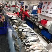 joe patti s seafood fish market in