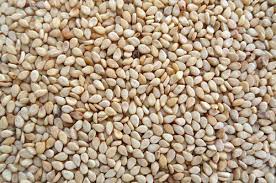 Sesame seeds are one of the oldest and indispensable condiments ever known to mankind. Sesame Seed At Rs 150 Kilogram Sesame Seed Id 10529288788