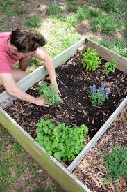 Growing Herbs In Raised Beds A Simple