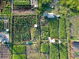 City Urbanized Vegetable Garden Aerial