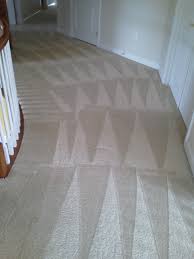 stafford carpet cleaning pros